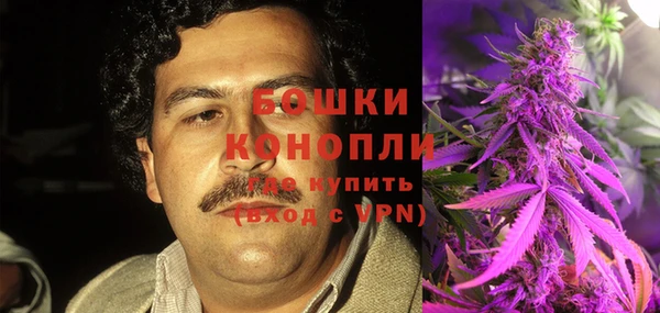 PSILOCYBIN Балахна