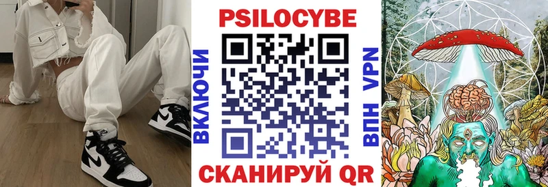 Псилоцибиновые грибы Psilocybe  Тюкалинск 